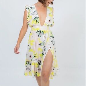 Stillwater Jessie FLORAL KNEE LENGTH DRESS Midi Size Small